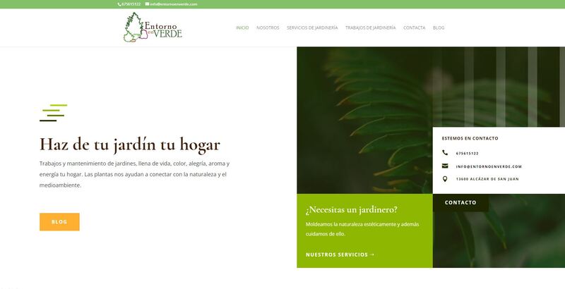 mantenimiento web