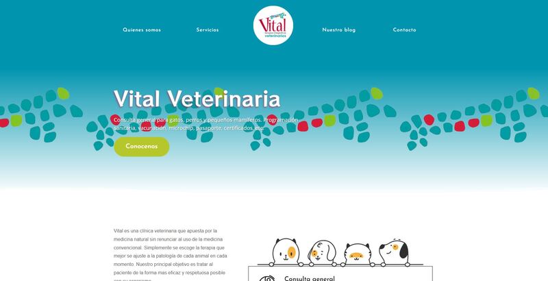 mantenimiento web